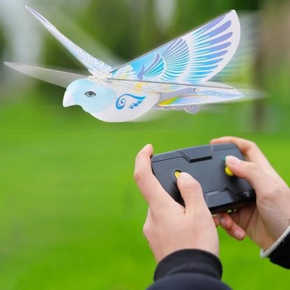 Flight-Bird.com